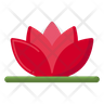water lily icon svg