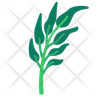 water spinach icon png