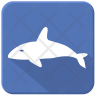 whale shark icon