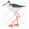 icon white stork