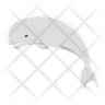 white whale icon