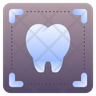 icon teeth x-ray
