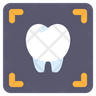 icon teeth x-ray
