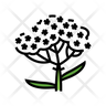 yarrow icon png