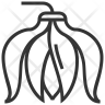 ylang logo