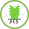 yucca icon png