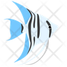 icon zebra blue angelfish
