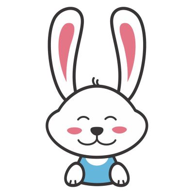 Icon Bunny