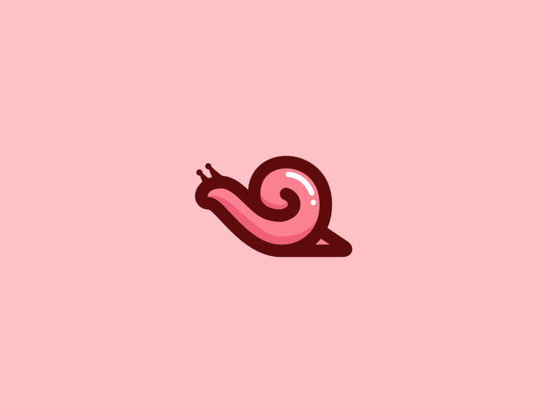 Snail by Vacancy