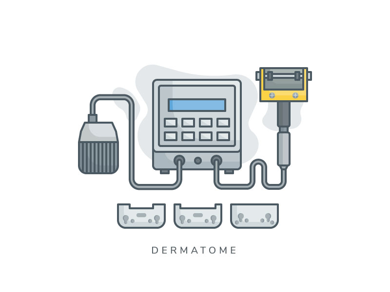 dermatome-icon-by-jemis-mali