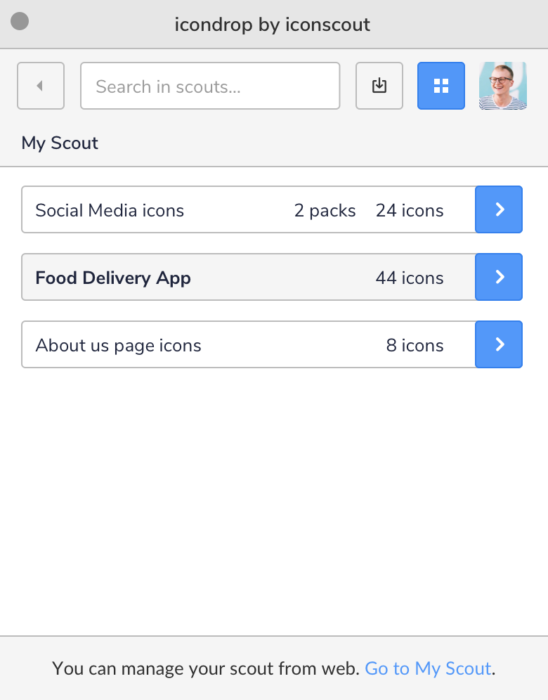 Scout to manage the icons