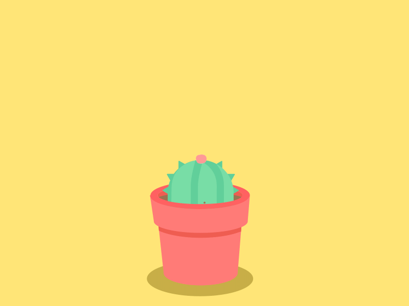 Cactus effect animation by Jessicauuu