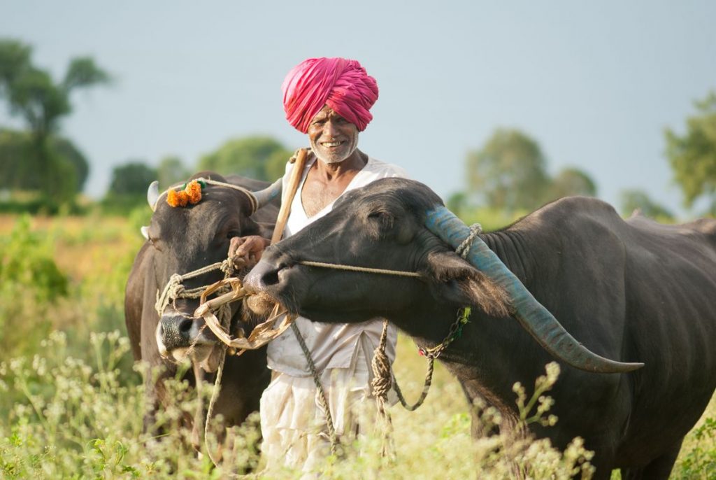 Indian farmers photos