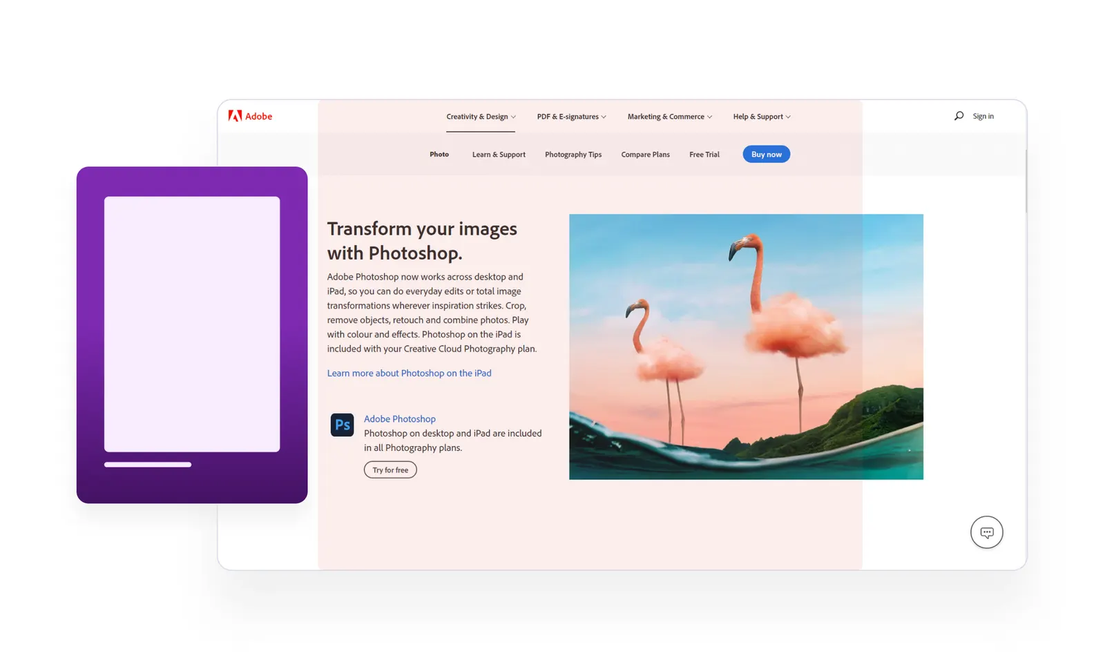 How To Build Better UI Designs With layout Grids | IconScout Blogs