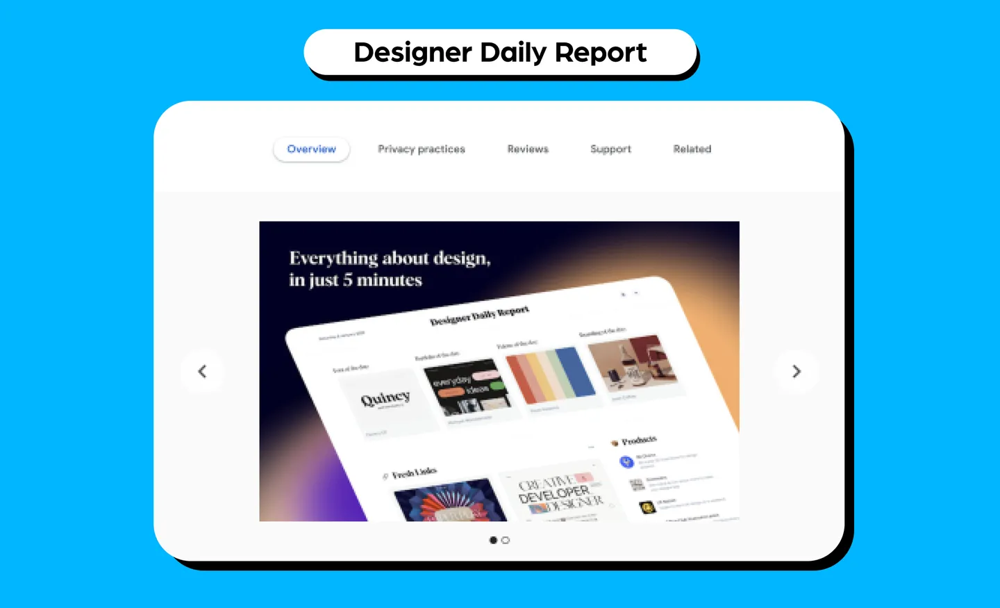 Designer Daily Report