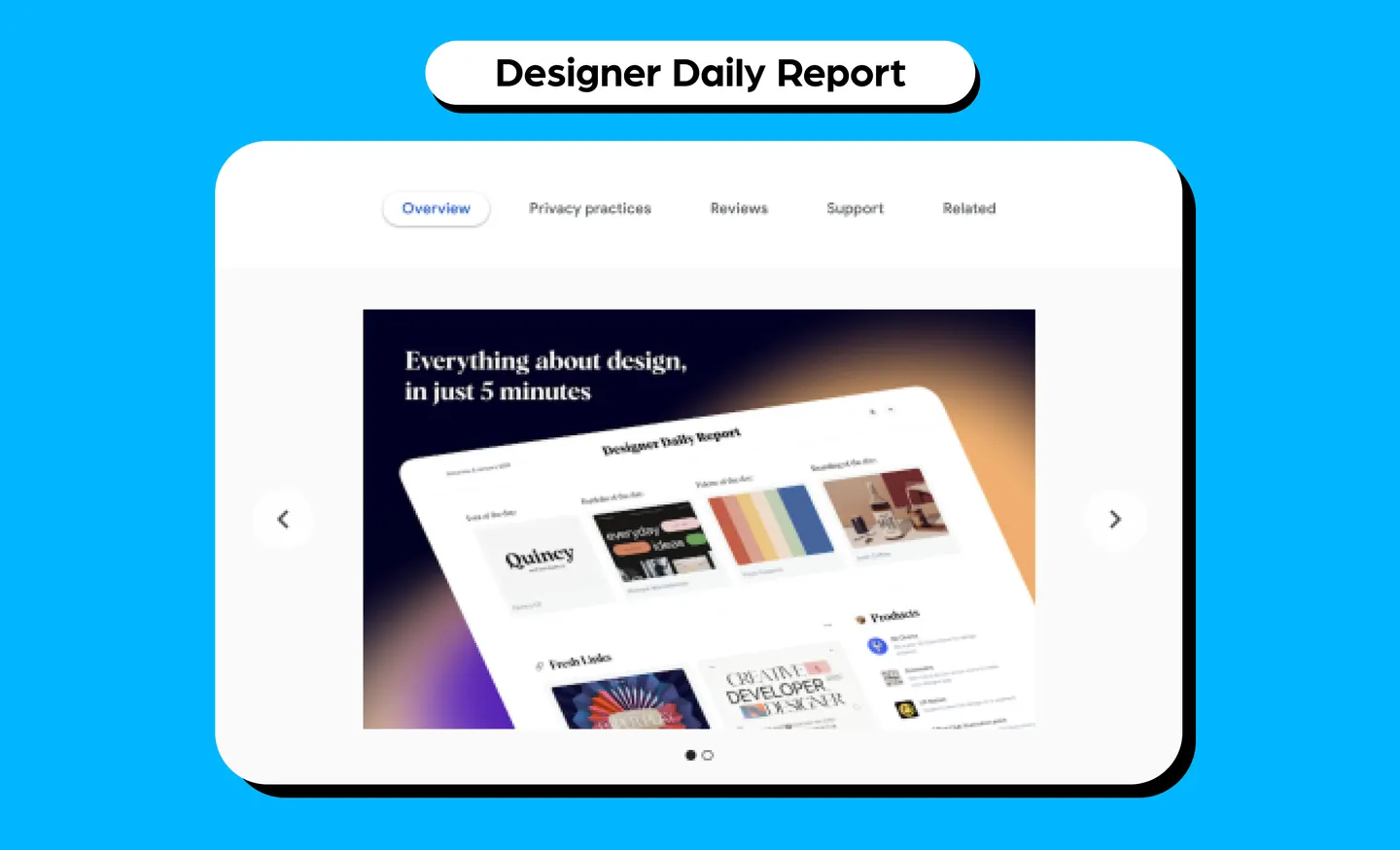 Designer Daily Report